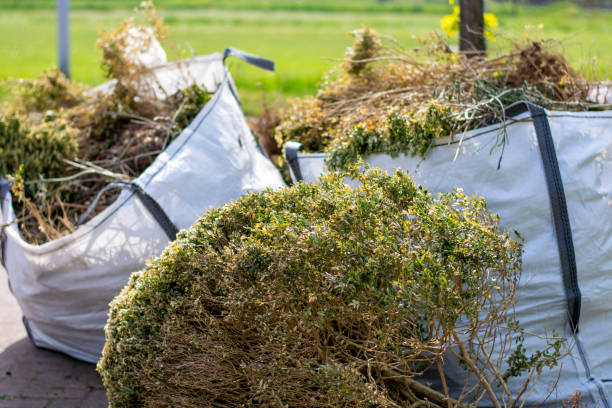 Best Hoarding Cleanup  in Athens, WV